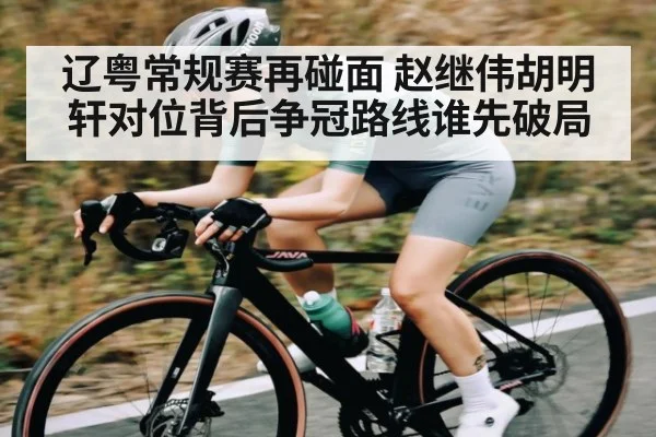 辽粤常规赛再碰面 赵继伟胡明轩对位背后争冠路线谁先破局